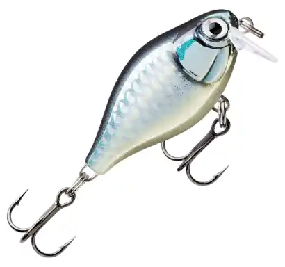 Wobler Rapala X-Light Crank Shallow Runner - farbe BAP