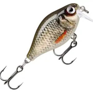 Wobler Rapala X-Light Crank Shallow Runner - farbe ROL