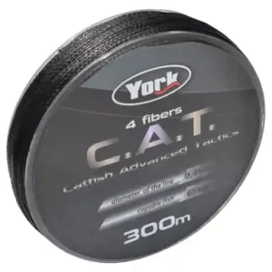 Waller Schnur York C.A.T.