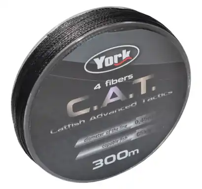 Waller Schnur York C.A.T.