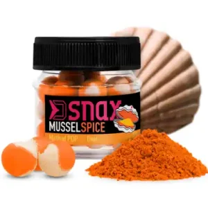 Boilies Delphin D SNAX POP - Muschel / Gewürz