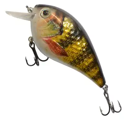 Wobbler York BUMPC.A.T. - farbe Gold Perch 87548