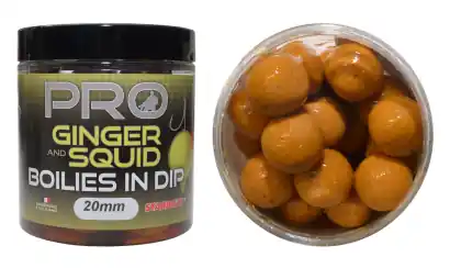 Boilies Starbaits Probiotic im dipu - Ginger Squid