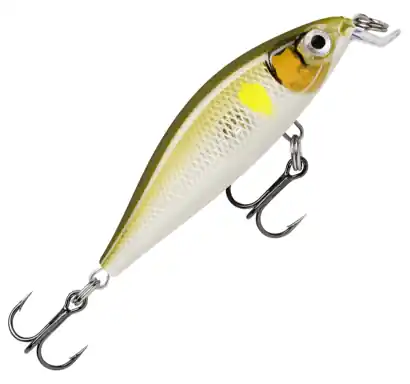 Wobler Rapala X-Light Minnow - farbe AYU