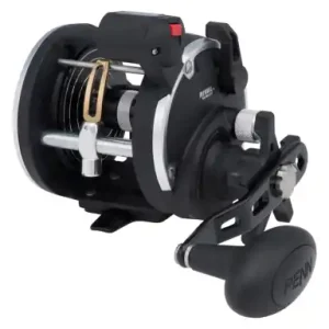 Multiplikator PENN Rival Level Wind 30 LWLCLH