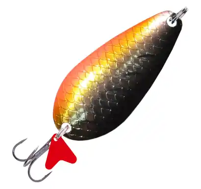 Spoon Jaxon Holo Reflex Atlas - farbe H
