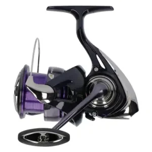 Angelrolle Daiwa 24 Prorex X LT 3000-C