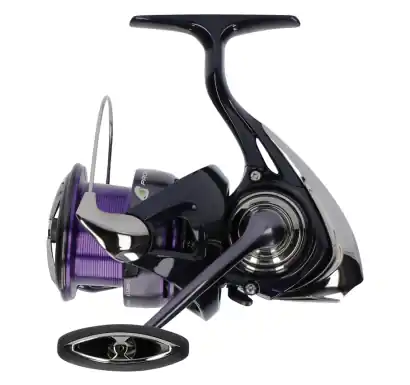 Angelrolle Daiwa 24 Prorex X LT 3000-C