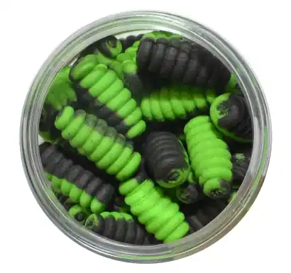 Boilies Traper DUO-Maggot Pop-Up - Ananas / Heilbutt