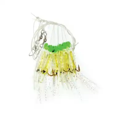 Codfish Rig York - 22365
