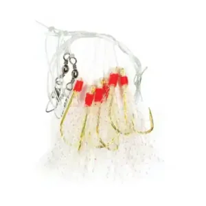 Codfish Rig York - 22396