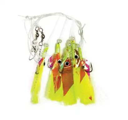 Codfish Rig York - 22372