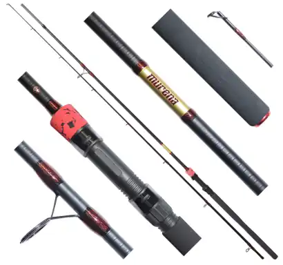 Angelrute Delphin Murena POWER 300 cm - 125 g