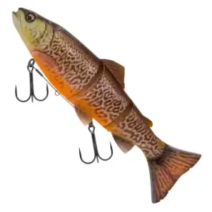 Savage Gear 3D Line Thru Trout - Tiger Trout - 15 cm - 1636555