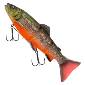 Savage Gear 3D Line Thru Trout - Arctic Char - 25 cm - 1636582