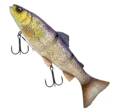 Savage Gear 3D Line Thru Trout - Clear Blue Trout - 25 cm - 1636583