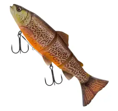 Savage Gear 3D Line Thru Trout - Tiger Trout - 25 cm - 1636586