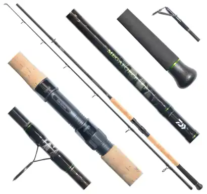 Angelrute Daiwa Megaforce Catfish BOJE - 300 cm - 200 - 600 g