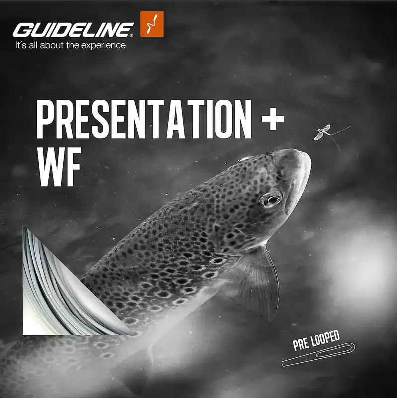 Guideline Presentation+ Fliegenschnur Floating- # 2