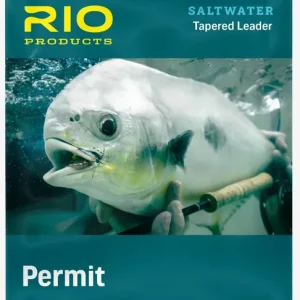 Rio Permit Tapered Leader 12 ft Prelooped Vorfach- 12 lbs - 0,356 mm