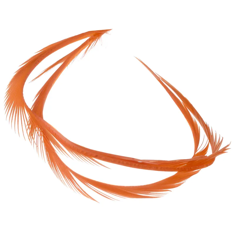 Soldarini Goose Biots-