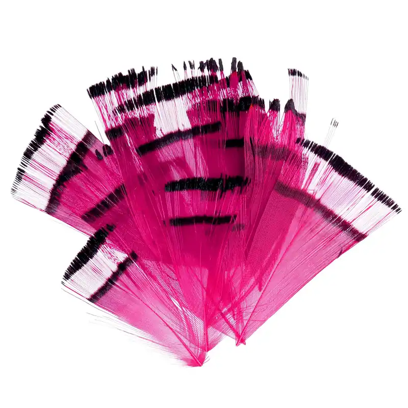 Soldarini Golden Pheasant Feathers 10pc Pack-