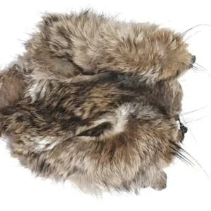 Soldarini Hare's Mask Hasenmaske-