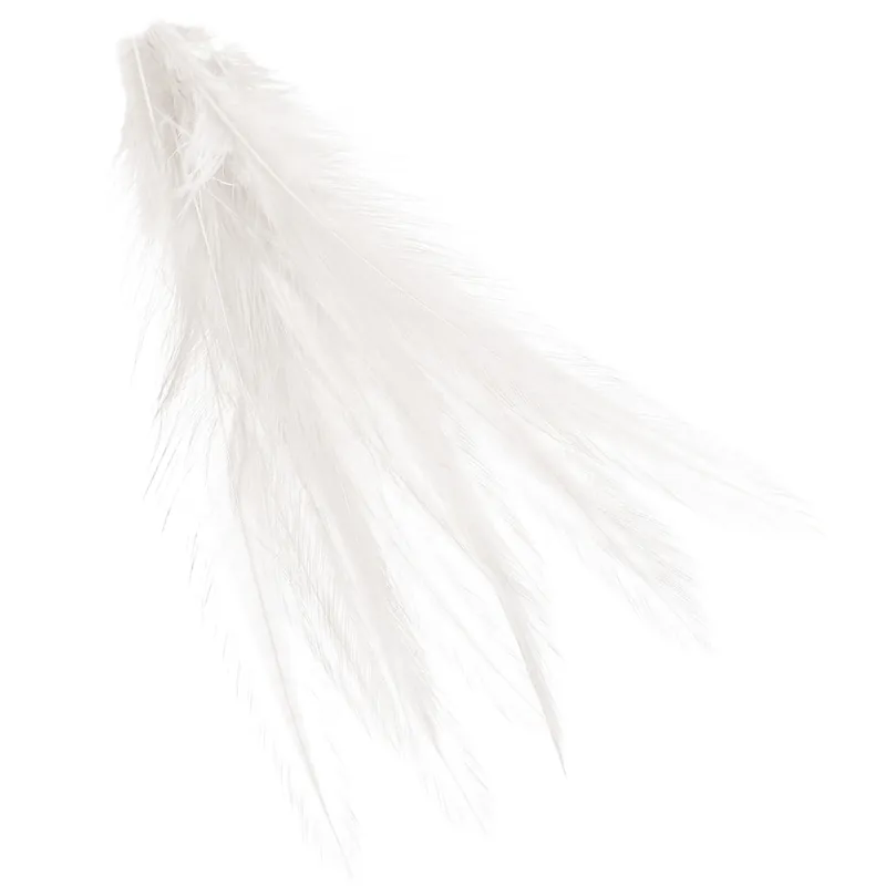 Wapsi Dry Fly Neck Hackle Mini Pack large #8 - #10-