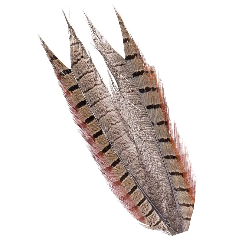 Wapsi Ringneck Pheasant tail Natural 2pc-