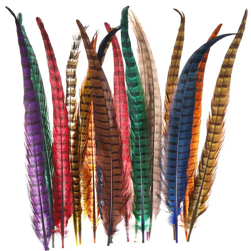 Wapsi Premium Jagdfasan Ringneck Pheasant Tail Schwanzfedern-