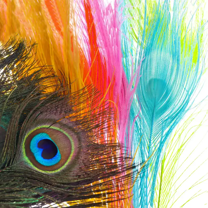Frödin Flies SNS Peacock Eye Feathers Pfauenaugen Federn-