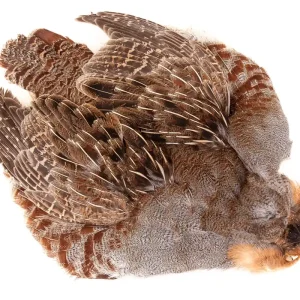 Hareline #1 Hungarian Partridge Skin Natural Rebhuhn Balg-