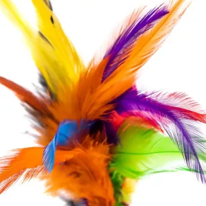 Future Fly Rooster Saddle Feather Federn-