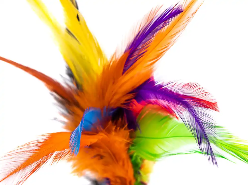 Future Fly Rooster Saddle Feather Federn-