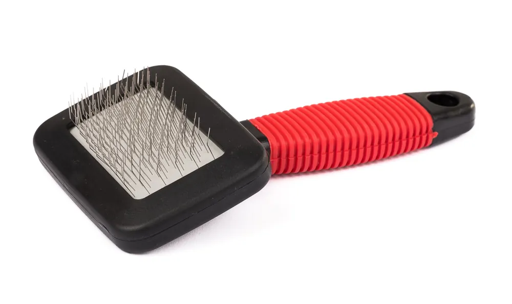 Future Fly Skin and Hair Brush Bürste-