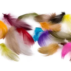 Wapsi Mallard Barred Flank Federn-