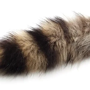 Waschbär Schwanz / Racoon Tail-