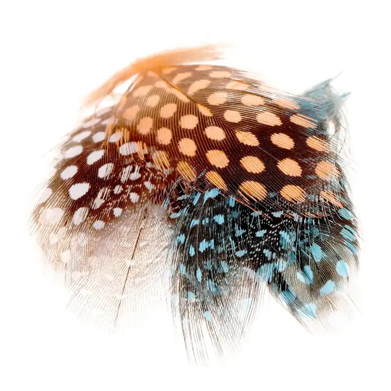 Soldarini Guinea Fowl Federn-