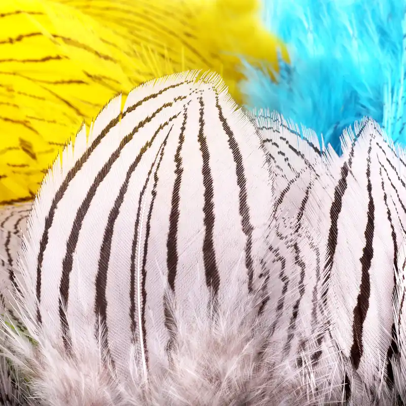 Hareline Silberfasan Silver pheasant feathers-