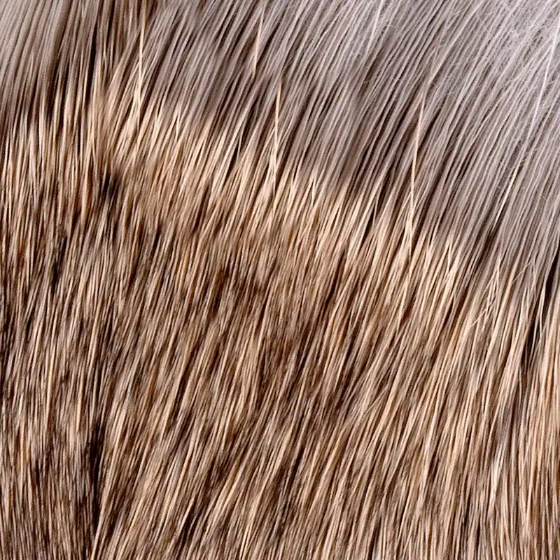 Wapsi Muddler Hair Rehhaar-