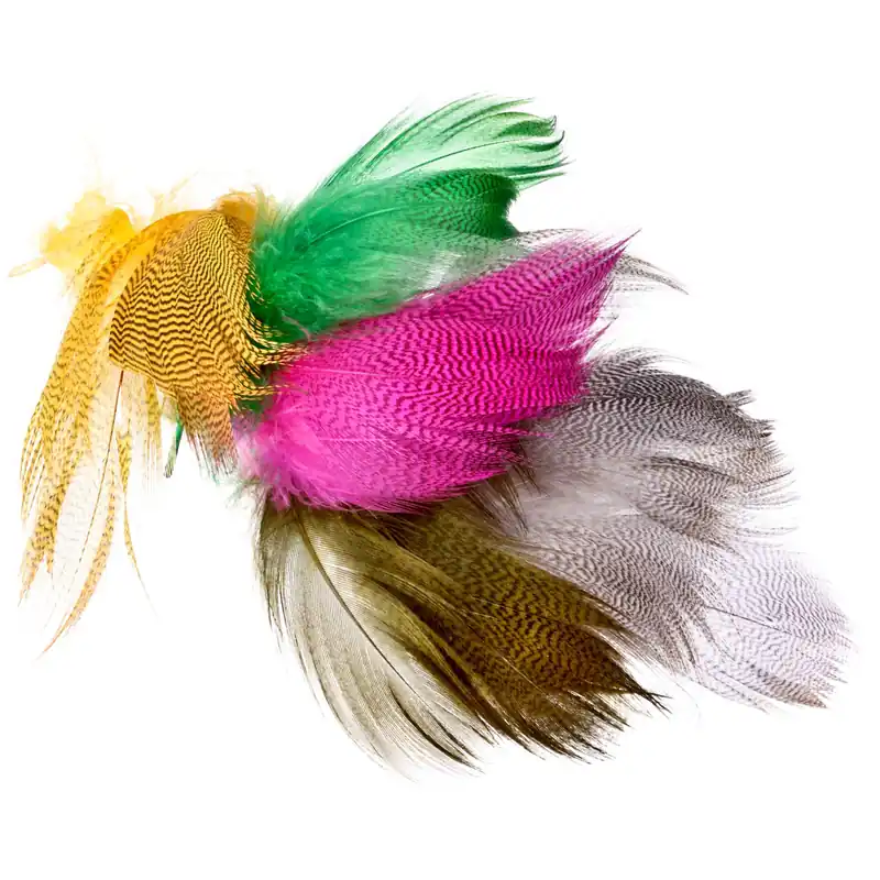 Fly Scene Barred Mallard Flank Federn-