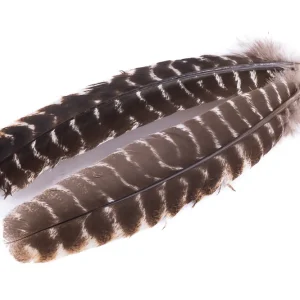 Hareline Ozark Oak Mottled Turkey Quills - Truthahn-