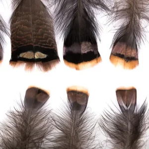Hareline Turkey Shorts Mix Truthahnfedern-