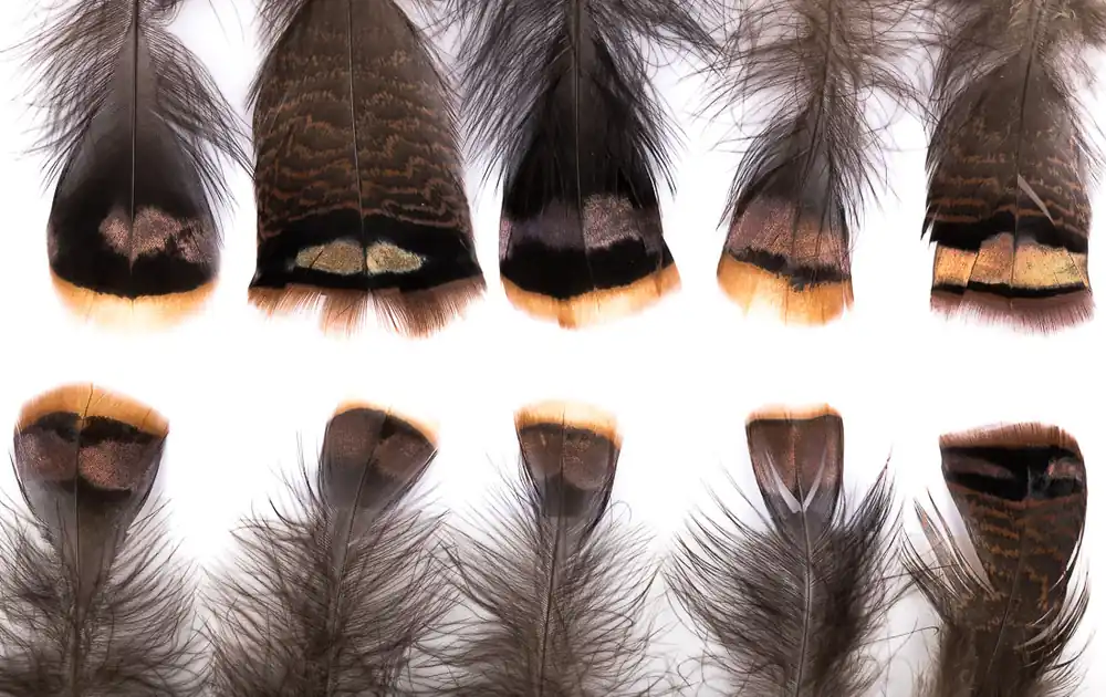 Hareline Turkey Shorts Mix Truthahnfedern-