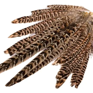 Hareline Ringneck Hen Pheasant Tail Clump Schwanzfedern-