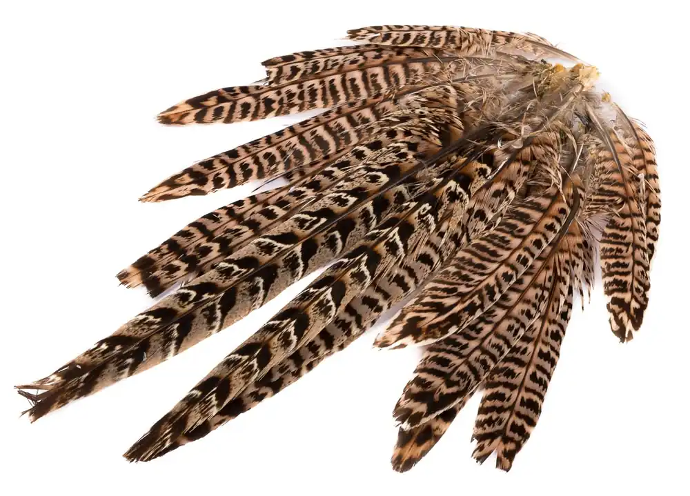Hareline Ringneck Hen Pheasant Tail Clump Schwanzfedern-