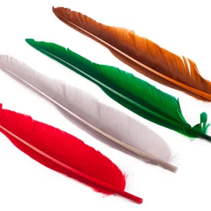 Wapsi Goose Quill - Gänsefedern-