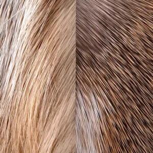 Wapsi Deer Hock Rehhaar-