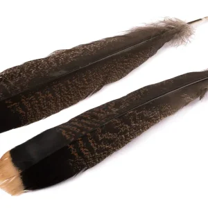 Hareline Cinnamon Tip Turkey Tail Truthahn Feder-