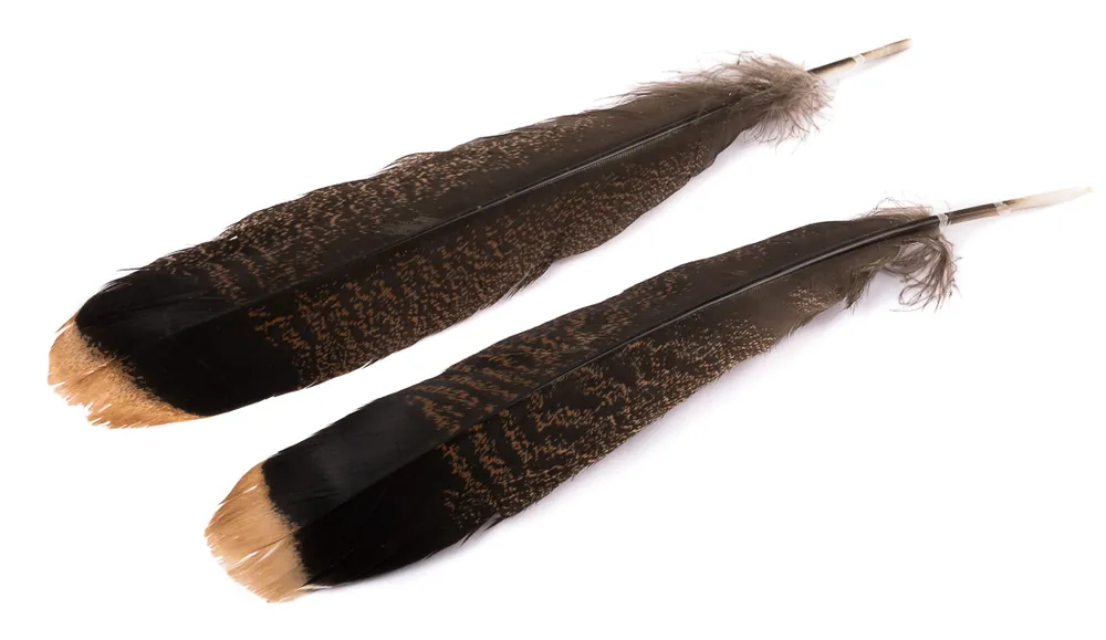 Hareline Cinnamon Tip Turkey Tail Truthahn Feder-